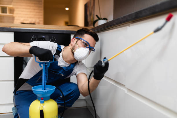 Best Pest Control Near Me  in Park Center, CO