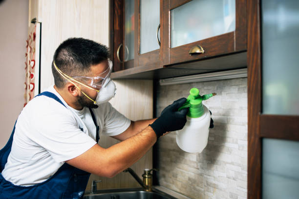 Pest Control Cost in Park Center, CO