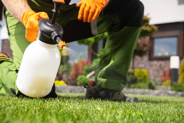 Trusted Park Center, CO Pest Control Experts