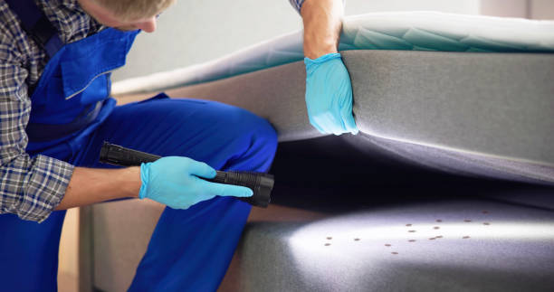 Best Commercial Pest Control Services  in Park Center, CO